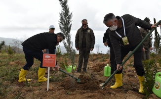 Banvit BRF 20 bin fidanla “Banvit Ormanı” kuruyor