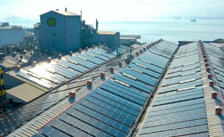 Shell,  üretim tesisinde güneş enerjisinden elektrik üretmeye başlıyor